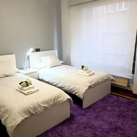 Apartment Funi-campo Volantin