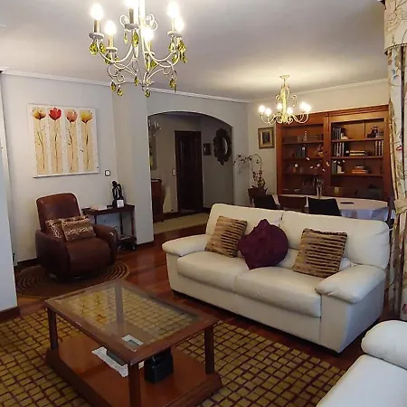 Funi-campo Volantin *