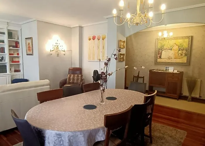 Funi-campo Volantin Apartamento Bilbau